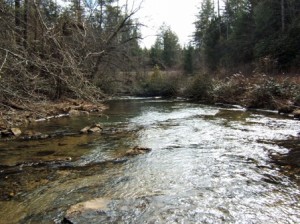 Beaverdam Creek Flows Beautifully in Murphy NC