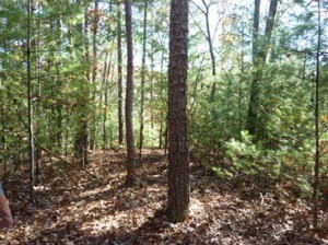 Unrestricted Land for Sale in Murphy NC Unrestricted Land for Sale in Murphy NC