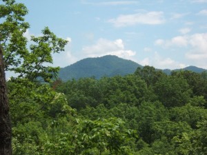 Great Mountain View Home for Sale in Murphy NC