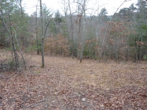 Martins Creek Unrestricted Land for Sale in Murphy NC Martins Creek Unrestricted Land for Sale in Murphy NC