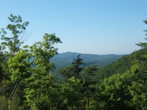 The View from the Selk's Homesite